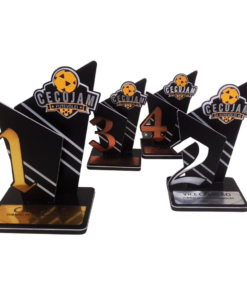 Kit 4 Troféus em Acrílico